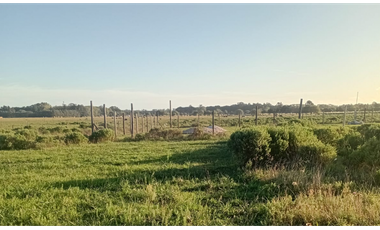 Waves - Terrenos en Mar del Plata