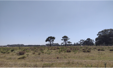 Waves - Terrenos en Mar del Plata