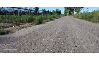 VENTA DE FINCA 4.7 HAS EN CALLEJON TORO- LA LIBERTAD , RIVADAVIA