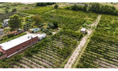 VENTA DE FINCA 4.7 HAS EN CALLEJON TORO- LA LIBERTAD , RIVADAVIA