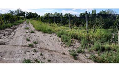 VENTA DE FINCA 4.7 HAS EN CALLEJON TORO- LA LIBERTAD , RIVADAVIA