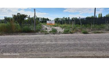 VENTA DE FINCA 4.7 HAS EN CALLEJON TORO- LA LIBERTAD , RIVADAVIA