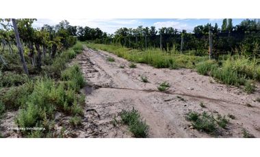 VENTA DE FINCA 4.7 HAS EN CALLEJON TORO- LA LIBERTAD , RIVADAVIA