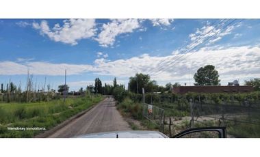 VENTA DE FINCA 4.7 HAS EN CALLEJON TORO- LA LIBERTAD , RIVADAVIA