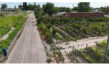 VENTA DE FINCA 4.7 HAS EN CALLEJON TORO- LA LIBERTAD , RIVADAVIA