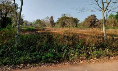 Land for sale in Wiang Chai, Chiang Rai