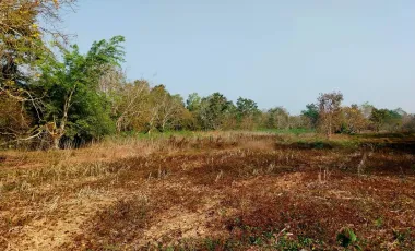 Land for sale in Wiang Chai, Chiang Rai