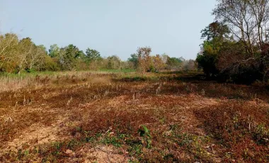 Land for sale in Wiang Chai, Chiang Rai