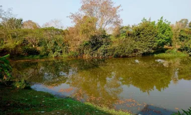 Land for sale in Wiang Chai, Chiang Rai