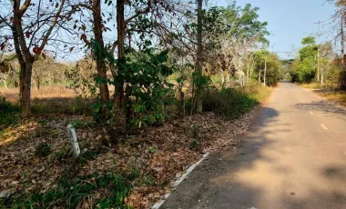 Land for sale in Wiang Chai, Chiang Rai
