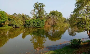 Land for sale in Wiang Chai, Chiang Rai