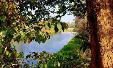 Land for sale in Wiang Chai, Chiang Rai