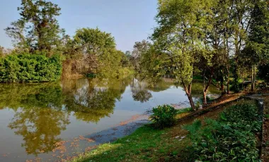 Land for sale in Wiang Chai, Chiang Rai