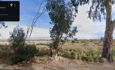 Terreno en Venta en Guaymallén 2,5 hectáreas