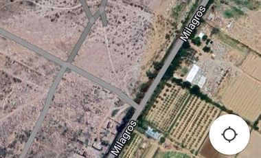 Terreno en Venta en Guaymallén 2,5 hectáreas