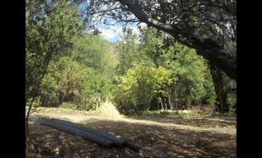CAMINO EL ALFARFAL/CAMINO EL ALFARFAL - Parcela - Venta