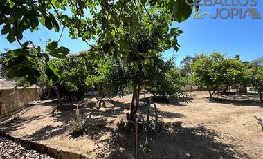 Parcela en Venta en Lo Hidalgo, Villa Alemana