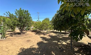 Parcela en Venta en Lo Hidalgo, Villa Alemana