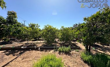 Parcela en Venta en Lo Hidalgo, Villa Alemana
