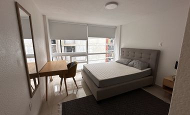 DEPARTAMENTO EN RENTA CON O SIN MUEBLES EN CALLE LAMARTINE POLANCO