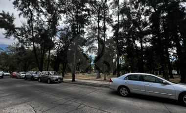 Oficina en renta en La Calma