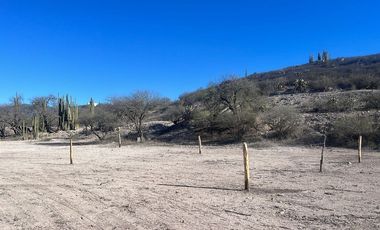 Terreno en venta en Santiago, Zimapán