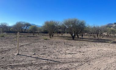 Terreno en venta en Santiago, Zimapán