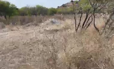 Terreno en venta en Santiago, Zimapán