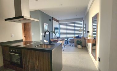 Departamento  AMUEBLADO en renta en Torre Omega Black, zona norte Aguascalientes