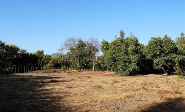 Agrícola en Venta en Quillota Urbano