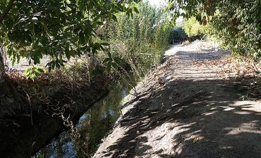 Agrícola en Venta en Quillota Urbano