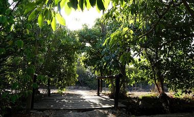 Agrícola en Venta en Quillota Urbano