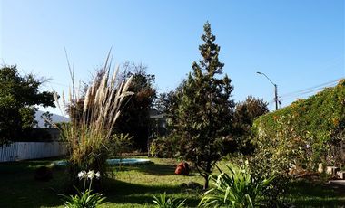 Agrícola en Venta en Quillota Urbano