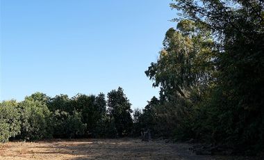 Agrícola en Venta en Quillota Urbano
