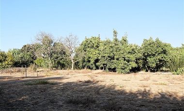 Agrícola en Venta en Quillota Urbano