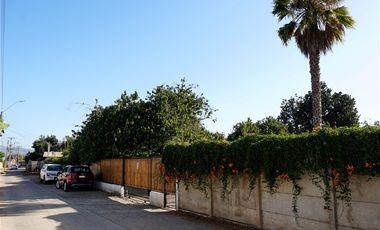 Agrícola en Venta en Quillota Urbano