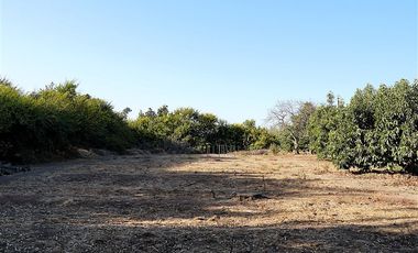 Agrícola en Venta en Quillota Urbano