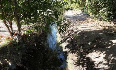 Agrícola en Venta en Quillota Urbano