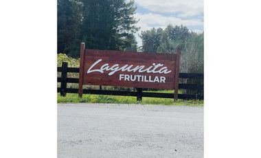 Se arrienda Hermosa casa de 3D/2B FRUTILLAR