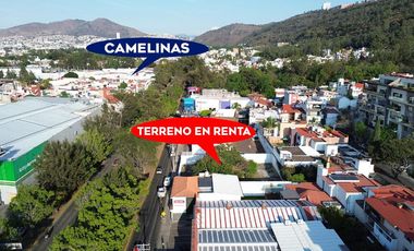 Terreno en Renta sobre Av. Camelinas, Morelia