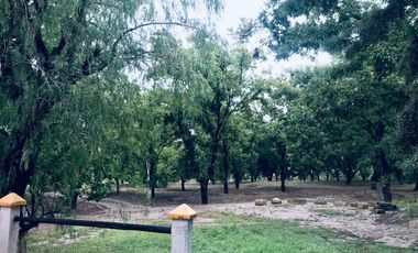 TERRENO EN VENTA EN OJO DE AGUA PARRAS, COAHUILA.