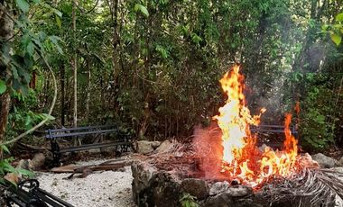 Terreno con Villa y Cenote en Ruta de Los Cenotes, Puerto Morelos