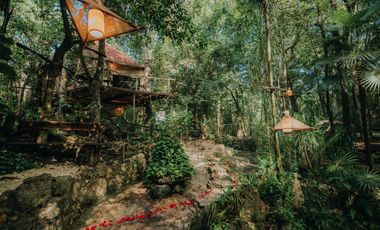 Terreno con Villa y Cenote en Ruta de Los Cenotes, Puerto Morelos