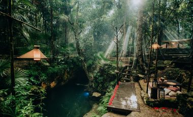 Terreno con Villa y Cenote en Ruta de Los Cenotes, Puerto Morelos