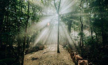 Terreno con Villa y Cenote en Ruta de Los Cenotes, Puerto Morelos