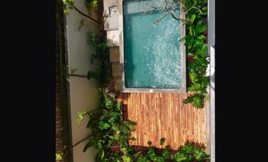 Edificio en Venta de 4 departamentos en Tulum - Hotel boutique