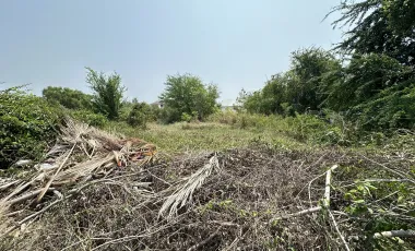 Rare Land Plot for Sale in Palm Village – Stunning Views!