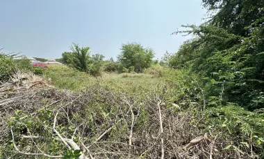 Rare Land Plot for Sale in Palm Village – Stunning Views!