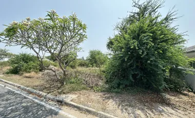 Rare Land Plot for Sale in Palm Village – Stunning Views!