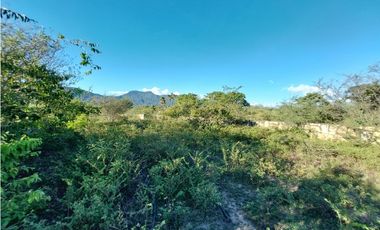 VENTA ESPECTACULAR LOTE TOTALMENTE PLANO EN CHINAUTA CUNDINAMARCA
